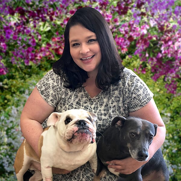 Jacksonville Lap Of Love Mobile Veterinarian